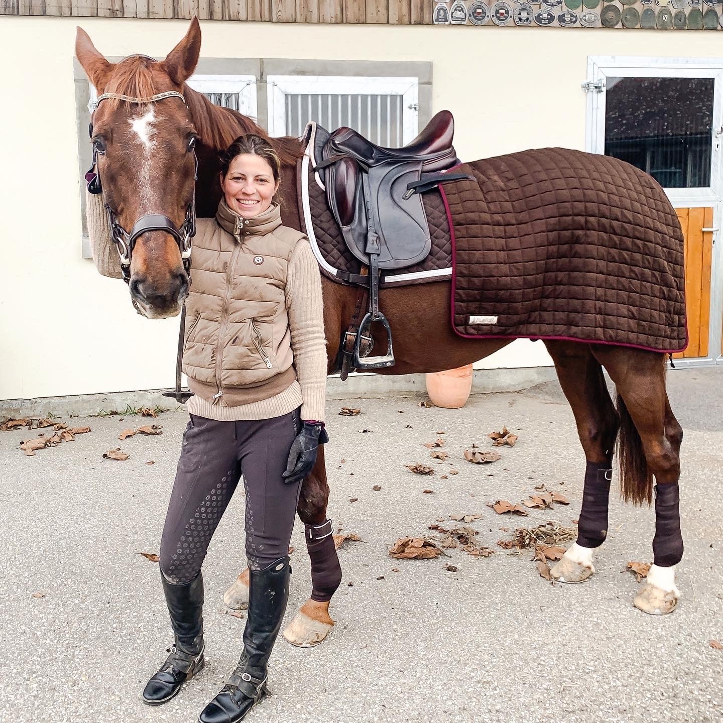 Couvre _reins_laine_cheval
