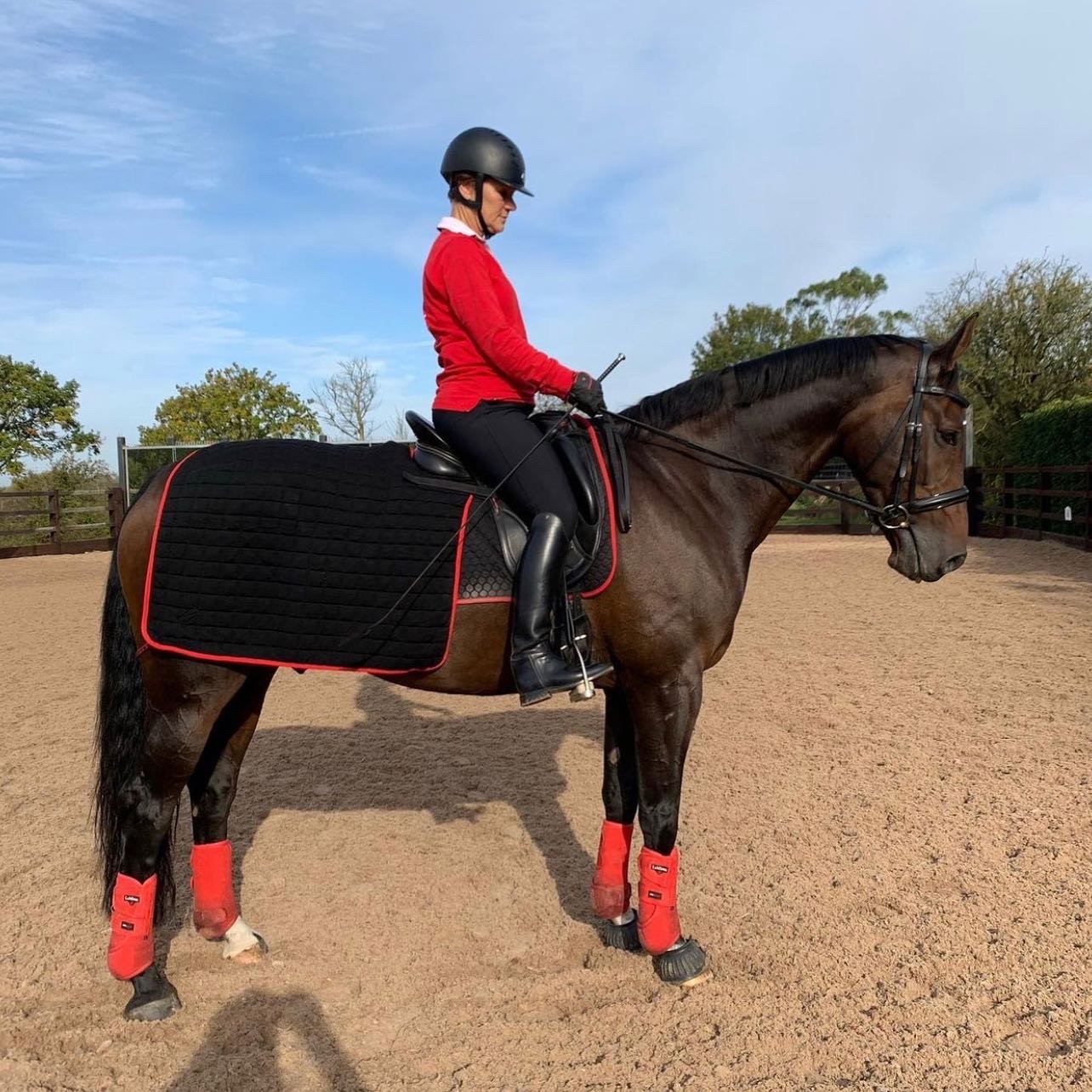 Couvre _reins_laine_cheval