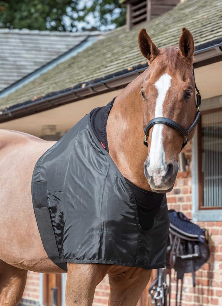 Protege Epauletten Cheval