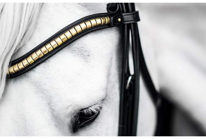 Browband with clinchers