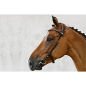Bridle Helsinki