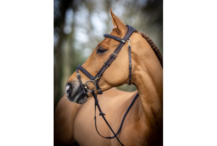 Work Bridle LeMieux