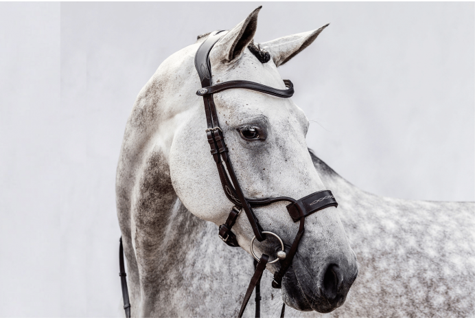 High Jump Revolution Bridle