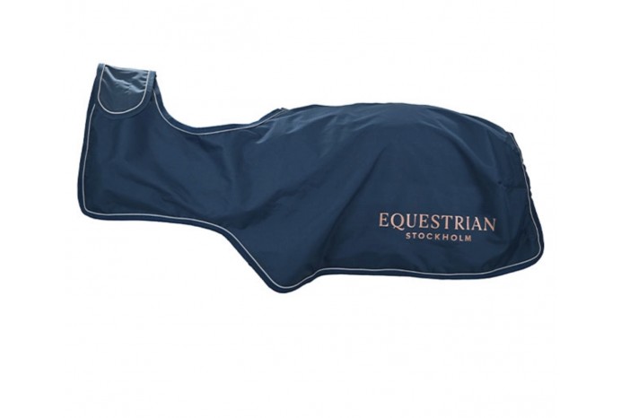 Exercice rug ES