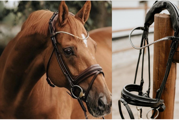 Finesse Bridle Cassidy