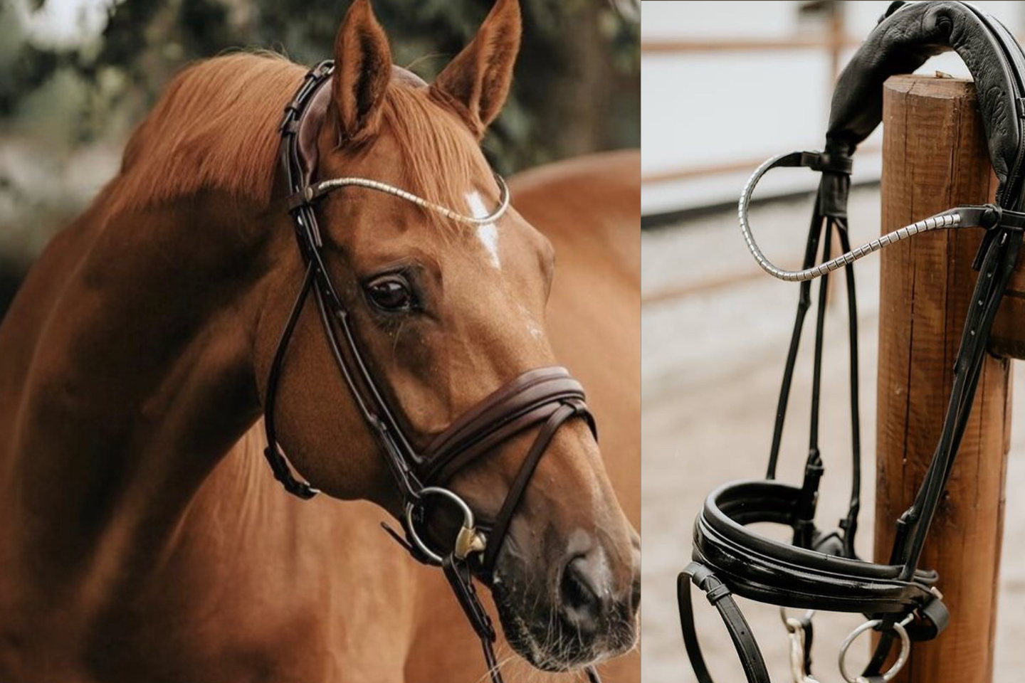Finesse Bridle Cassidy