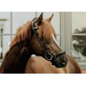 DroppedNoseband_S...