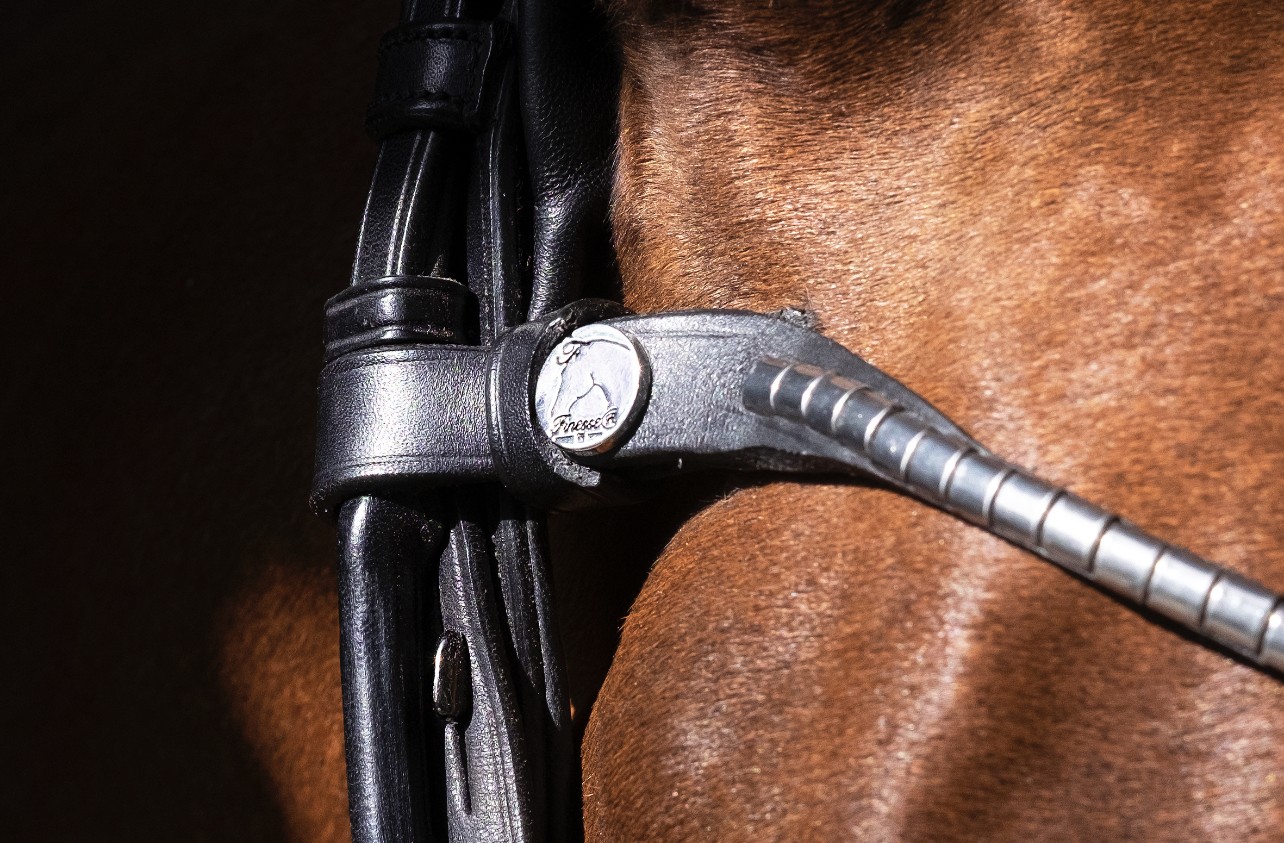 DroppedNoseband_Spirit
