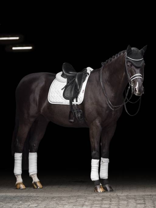 Kristall-Wildleder_Dressur_Sprungschabracke