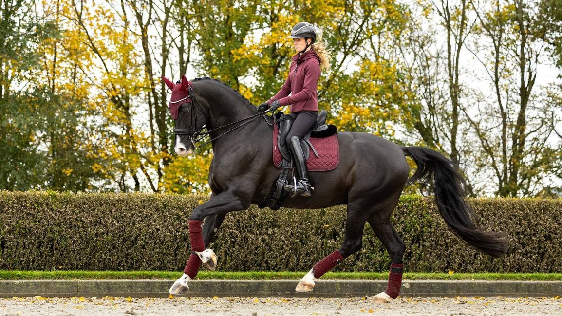 Kristall-Wildleder_Dressur_Sprungschabracke