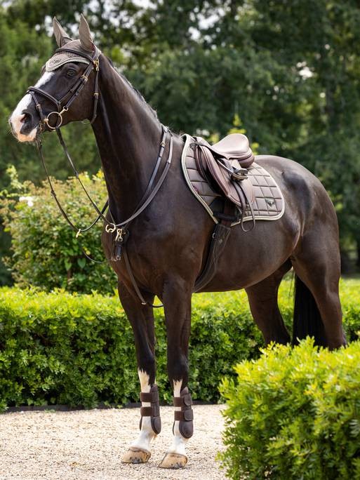 LeMieux Loire_dressage_saut_tapis de selle