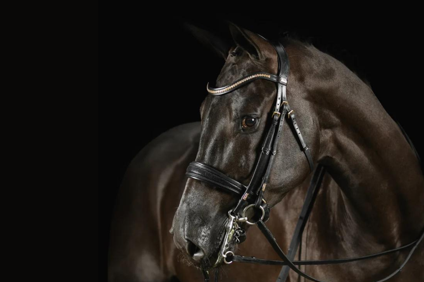 Double bride dressage_MrsRos