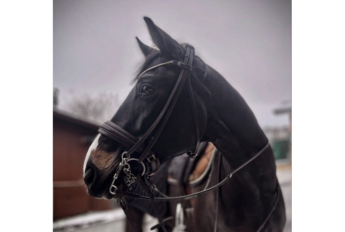 Finesse Double Bridle Cayenne