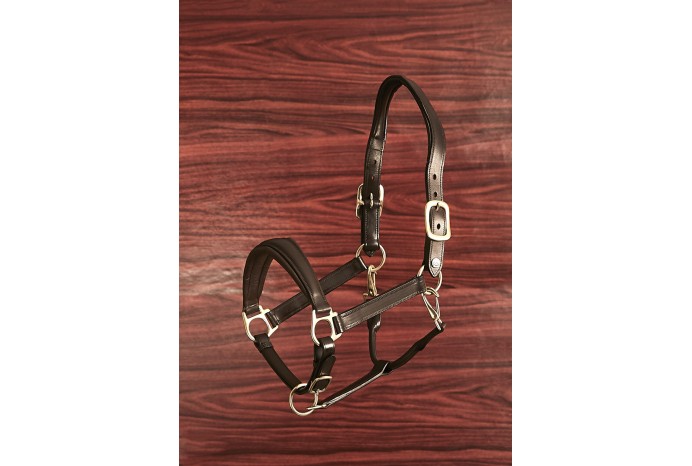 Anatomic Leather...