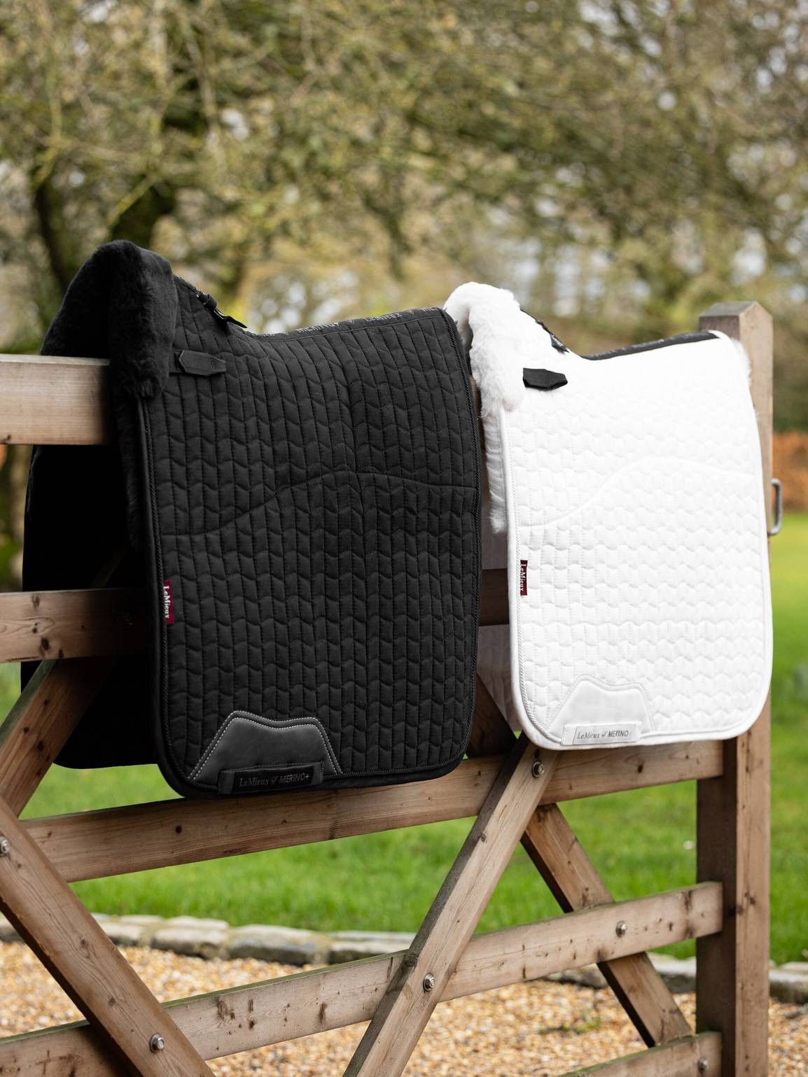 Merino+ Dressage Square
