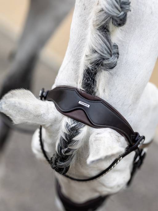 Classic Dressage Bridle