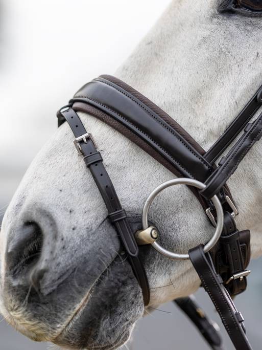 Bridon de dressage_classique
