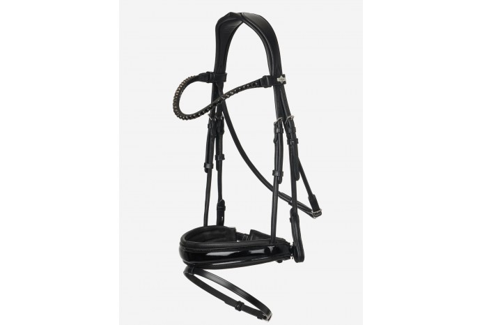 Patent_Dressage_Bridle_LEMIEUX