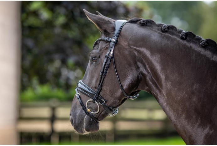 Brides_dressage_verni_LEMIEUX