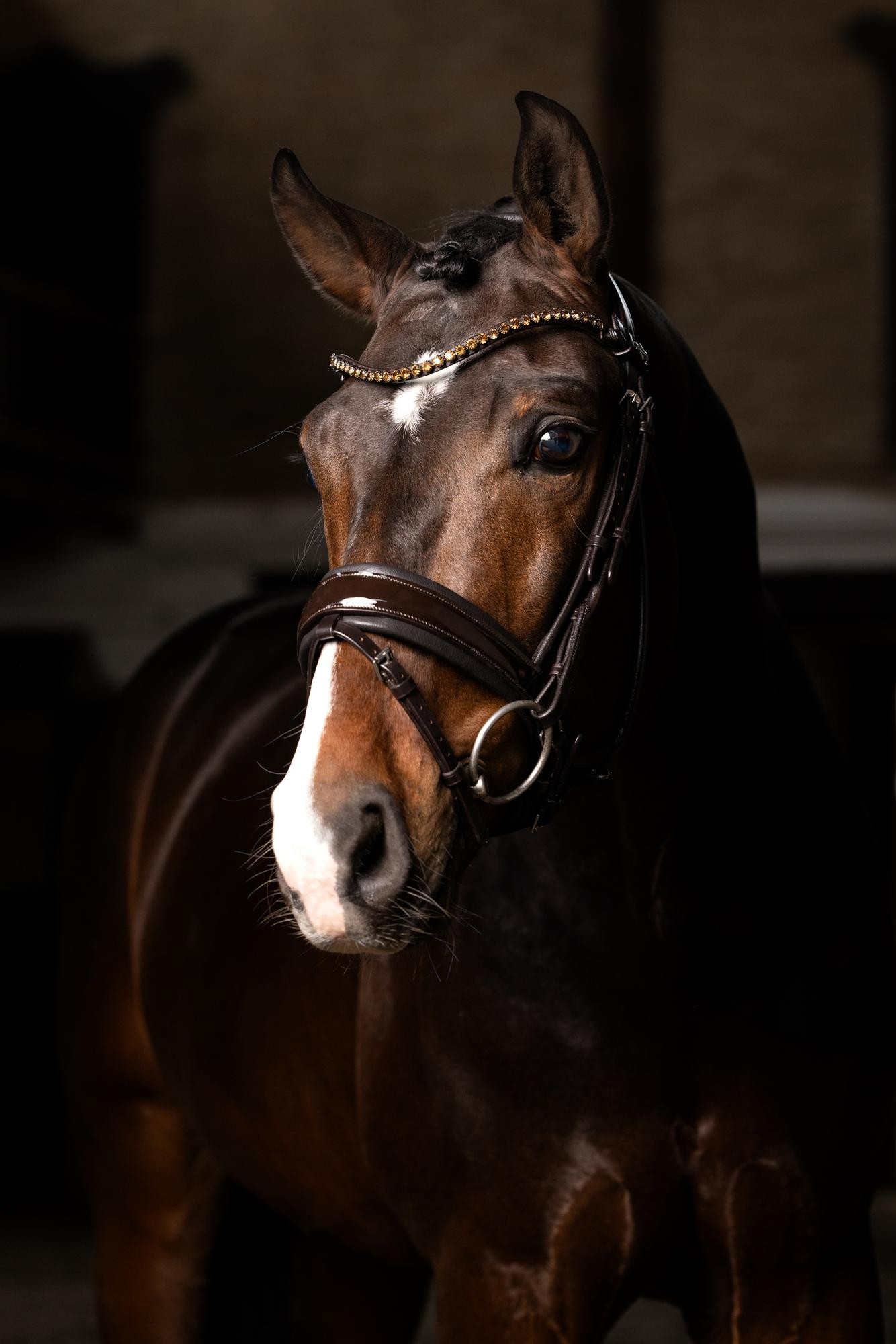 Brides_dressage_verni_LEMIEUX