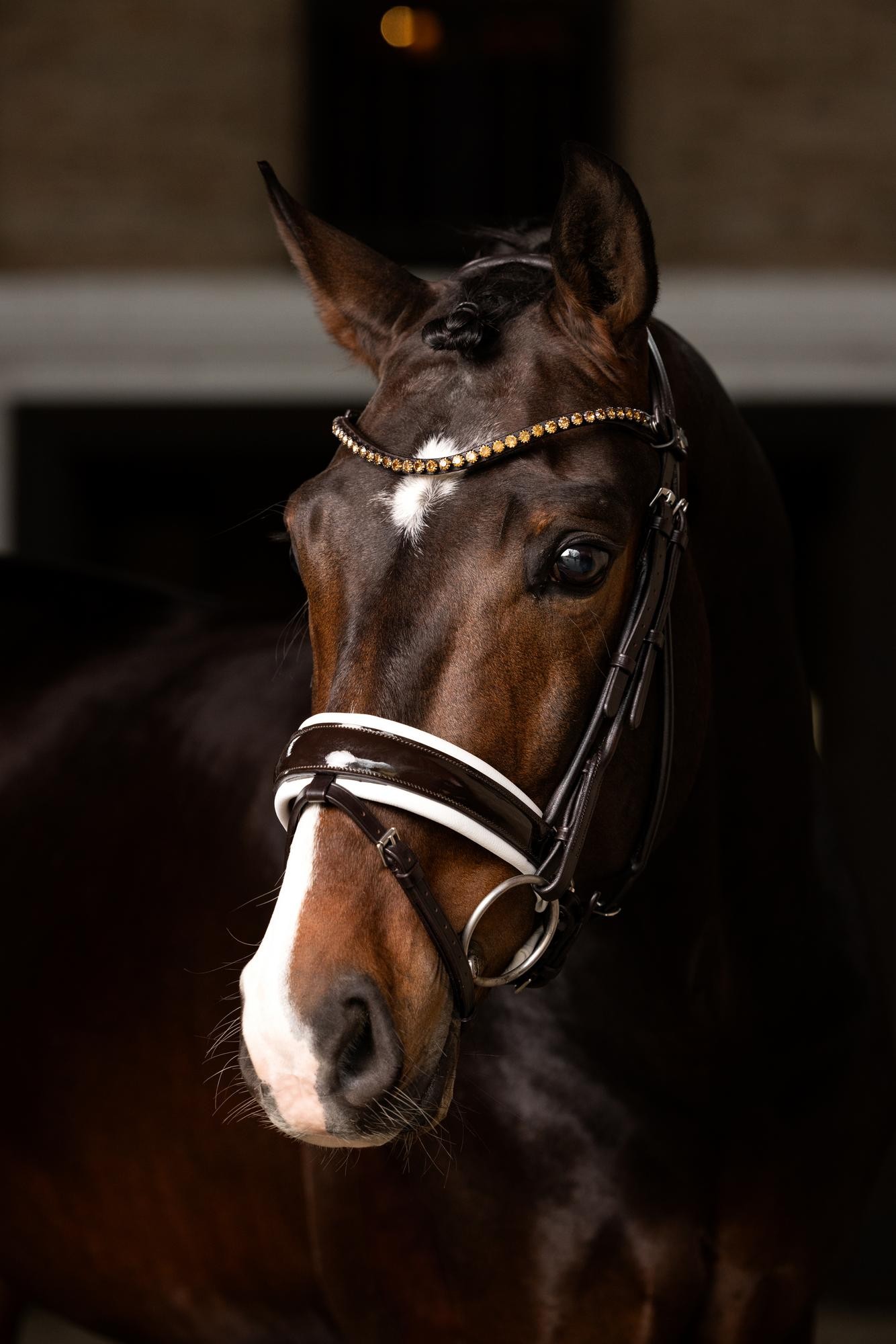 Brides_dressage_verni_LEMIEUX