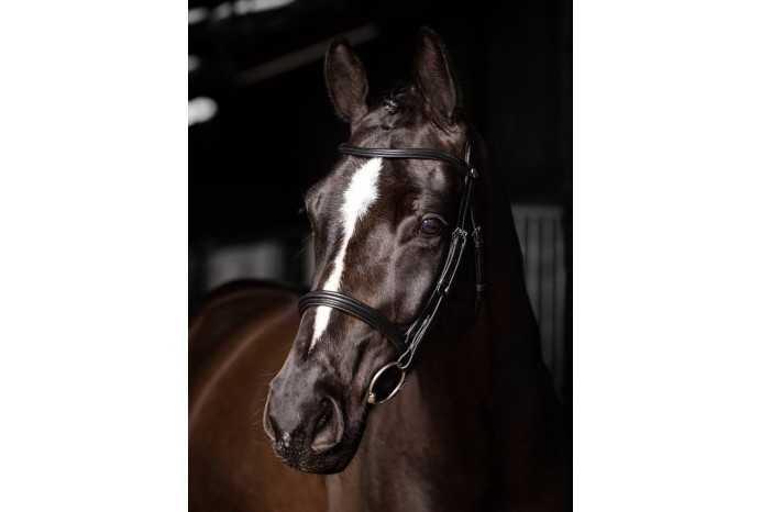 Arika Cavesson Bridle...