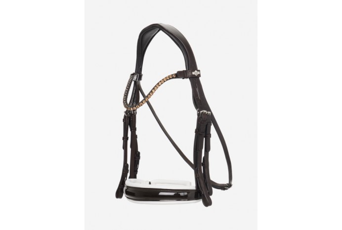 Kudos Double Bridle...