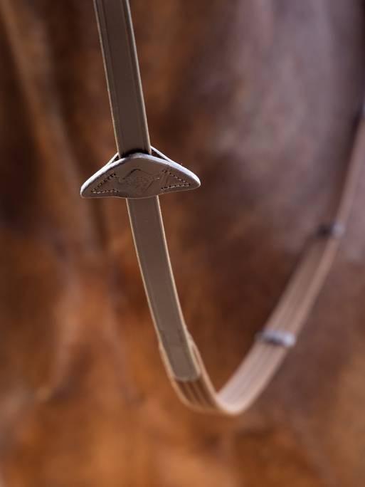 Webbed Continental Reins