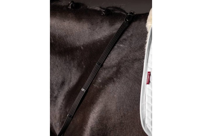 Webbed Continental Reins