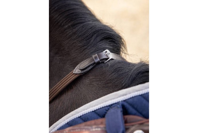 Webbed Continental Reins