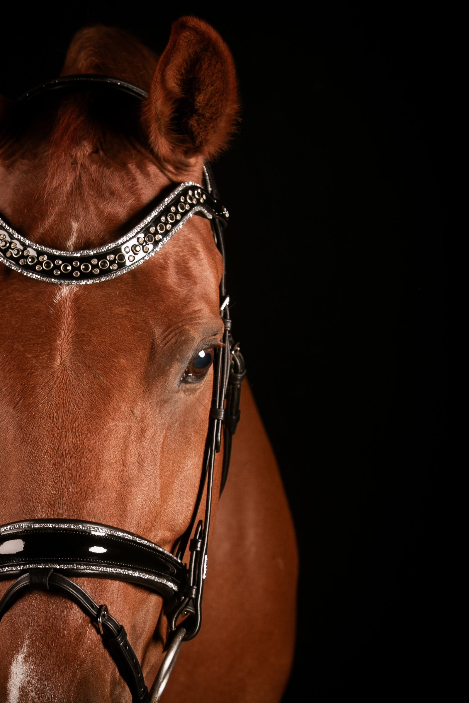 Bridle dressage_MrsRos
