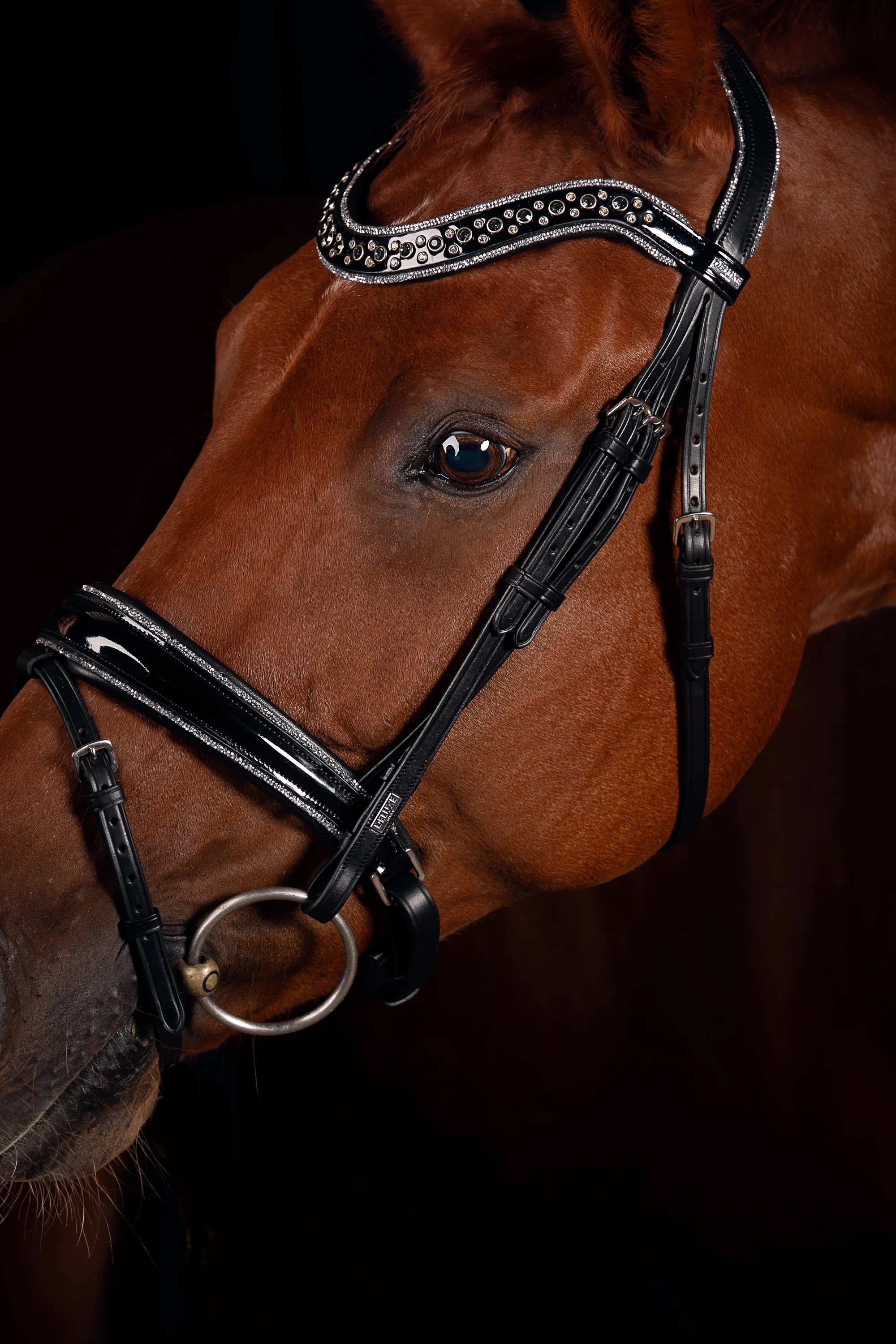 Bridle dressage_MrsRos