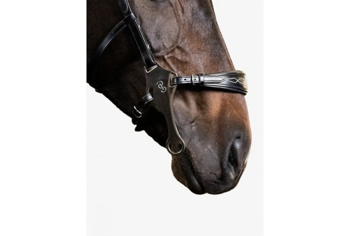 Hackamore anatomique