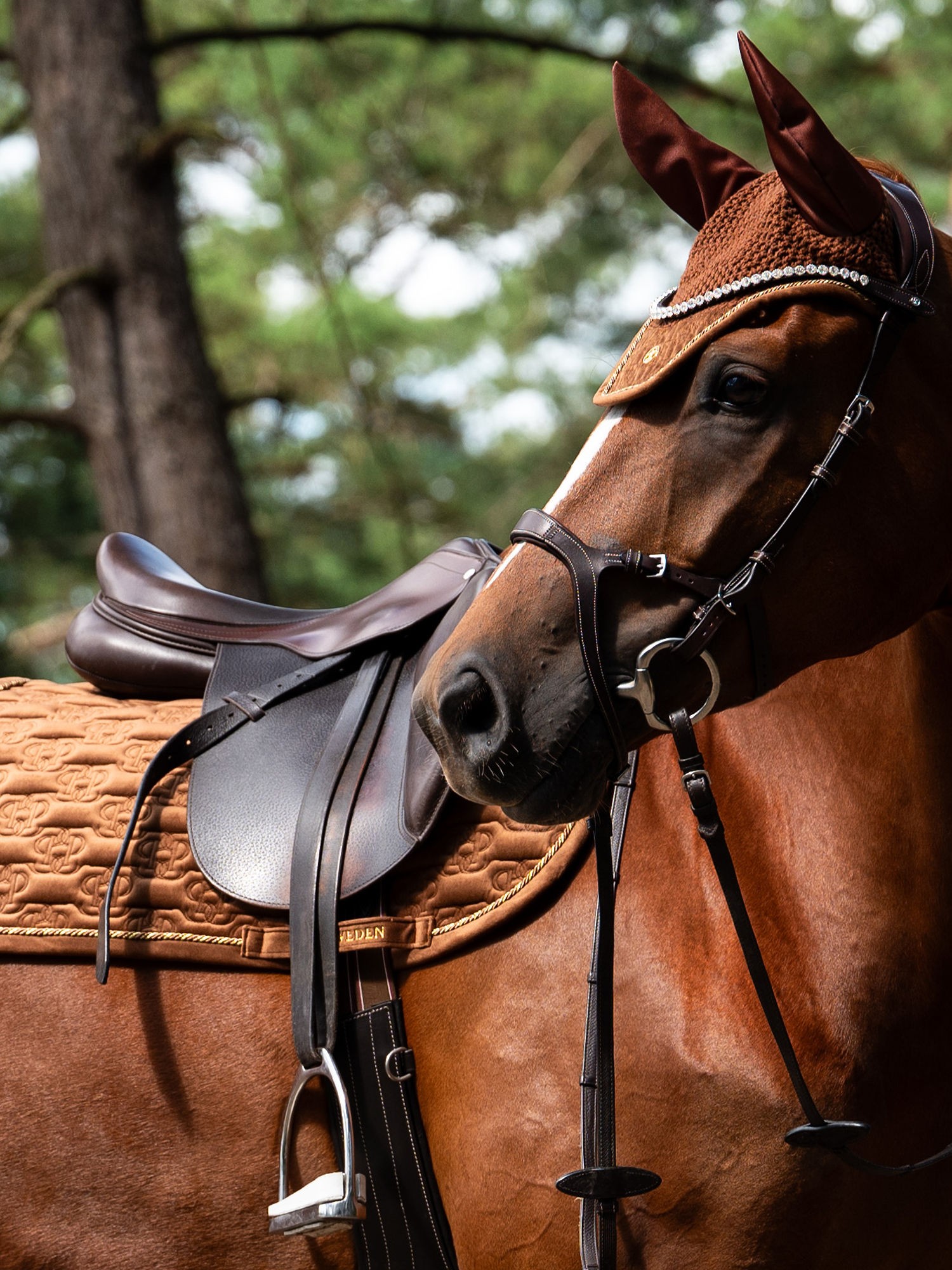 Velvet Saddle pad