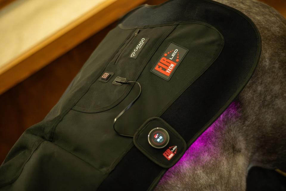 LED Therapy pad